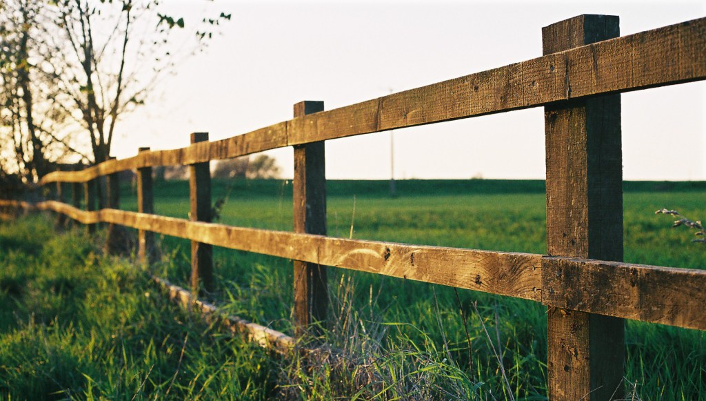 fence